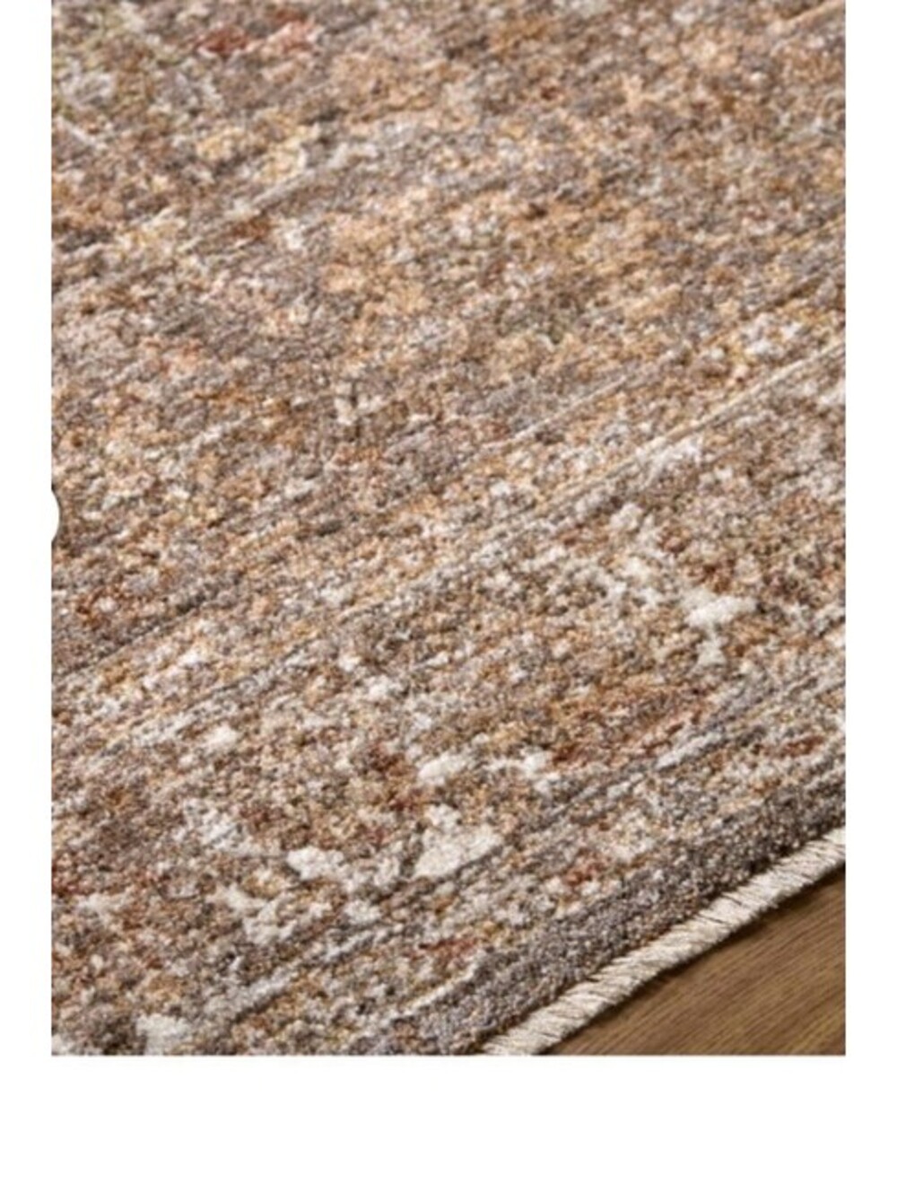 Surya Somerset 7'10" x 10' Area Rug CNE-2302 Neutral Vintage Traditional Design